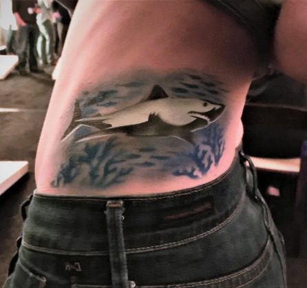 Shark side flipped Shark side flipped